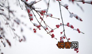 小雪下雨有什么谚语 有关小雪下雨的谚语