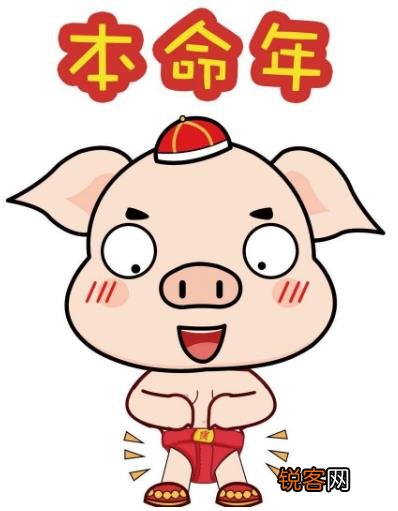 本命年注意事项 2019年猪年犯太岁化解全解密