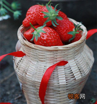 水果到底饭前吃还是饭后吃