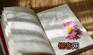 朋字组词 朋怎么组词
