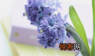 饰可以组什么词语 饰怎么组词