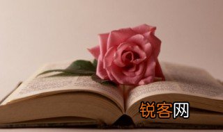 申可以组什么词语 申怎么组词