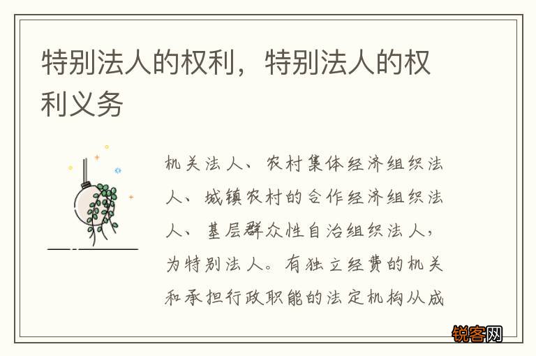 特别法人的权利，特别法人的权利义务