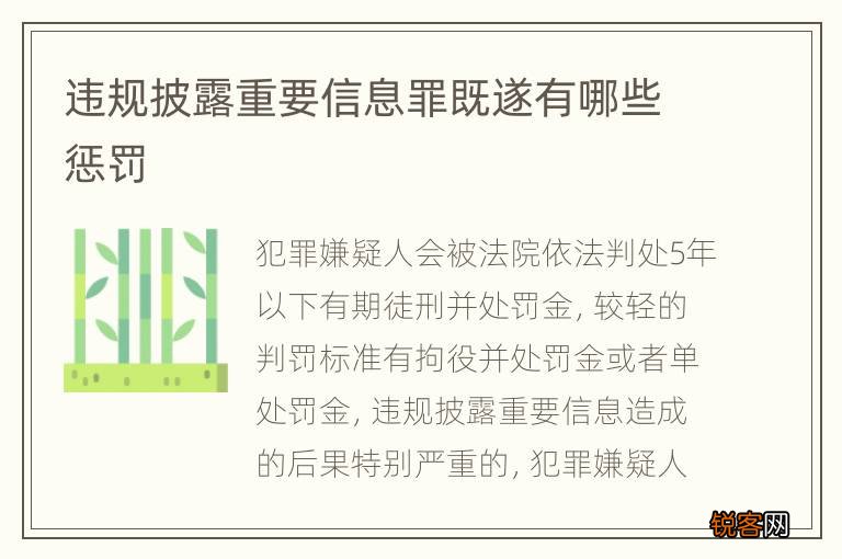 违规披露重要信息罪既遂有哪些惩罚