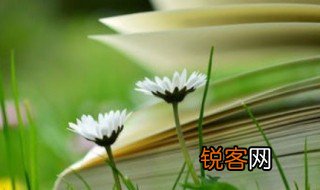 一言以蔽之是什么句式 句式的简单介绍