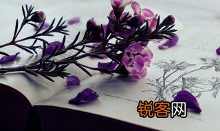 洋洋纚纚成语解释 洋洋纚纚成语意思