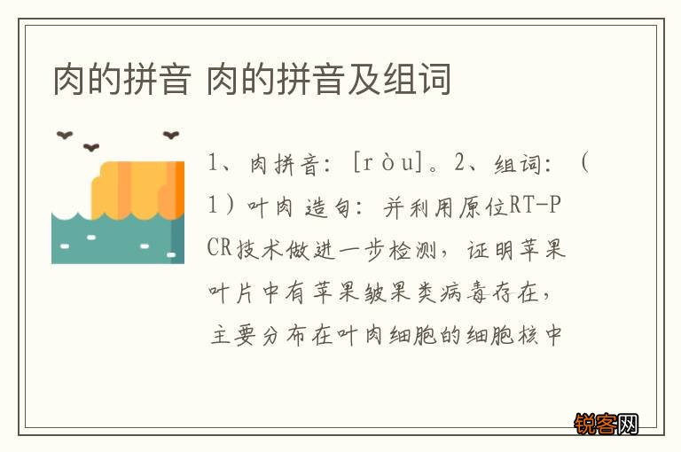 肉的拼音 肉的拼音及组词