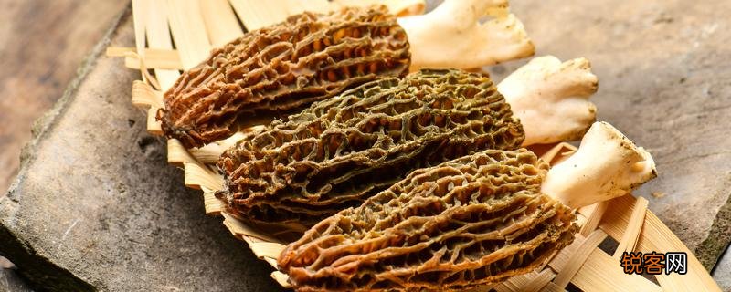 羊肚菌晾晒方法 羊肚菌是晒干还是烘干!