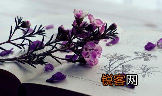 不识庐山真面目这句话的意思 不识庐山真面目这句话的解释