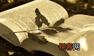 不规矩是什么意思 不规矩解释