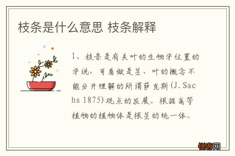 枝条是什么意思 枝条解释