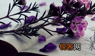 怪石是什么意思 怪石解释
