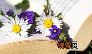 黄金菊是什么意思 黄金菊解释