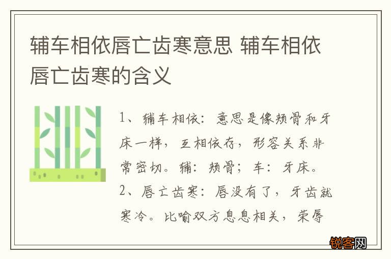 辅车相依唇亡齿寒意思 辅车相依唇亡齿寒的含义