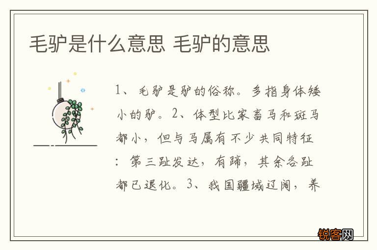 毛驴是什么意思 毛驴的意思