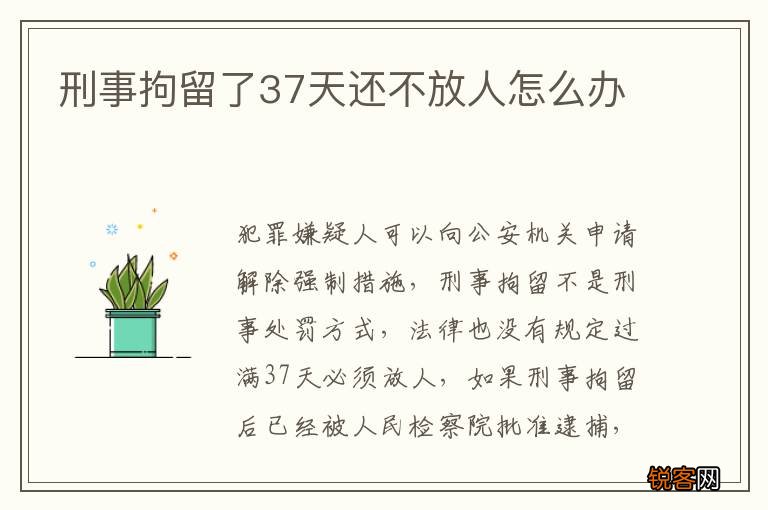 刑事拘留了37天还不放人怎么办
