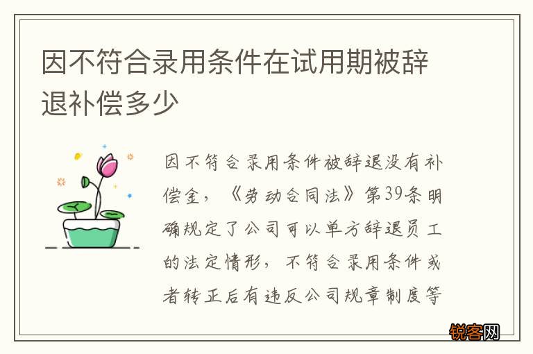 因不符合录用条件在试用期被辞退补偿多少