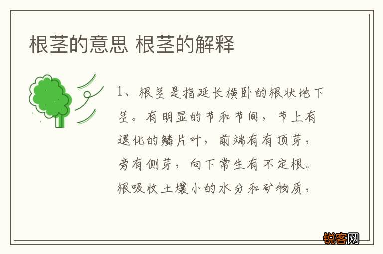 根茎的意思 根茎的解释
