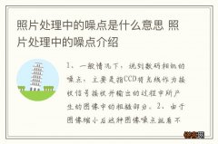 照片处理中的噪点是什么意思 照片处理中的噪点介绍