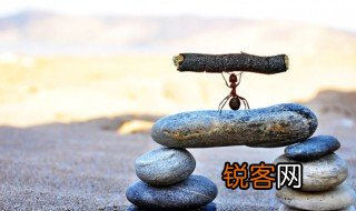 不甚是啥意思 不甚简单释义