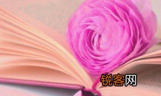 词语填空不什么不什么 不什么不什么的词语有哪些
