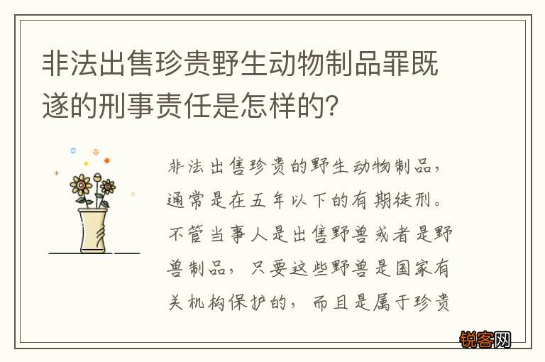非法出售珍贵野生动物制品罪既遂的刑事责任是怎样的？