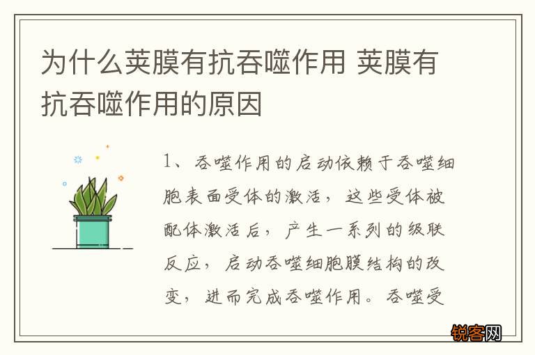 为什么荚膜有抗吞噬作用 荚膜有抗吞噬作用的原因