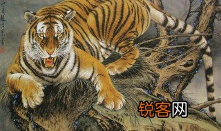 十二生肖的成语画虎类什么 十二生肖的成语画虎类什么是什么