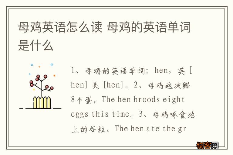 母鸡英语怎么读 母鸡的英语单词是什么