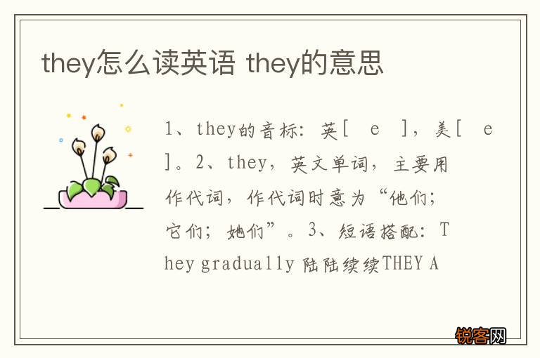 they怎么读英语 they的意思