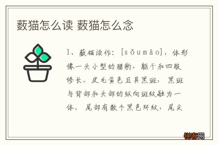 薮猫怎么读 薮猫怎么念
