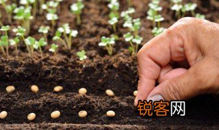 什么是种植转移 什么是种植
