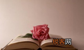 年次是什么意思 年次的含义