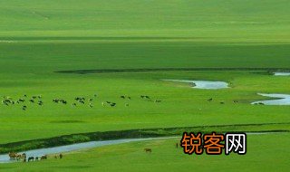 草原都有哪些类型 草原类型介绍