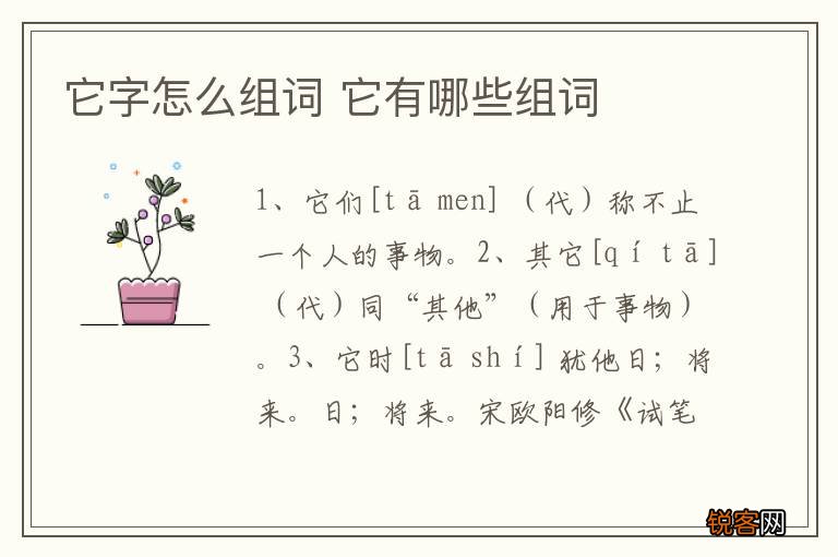 它字怎么组词 它有哪些组词