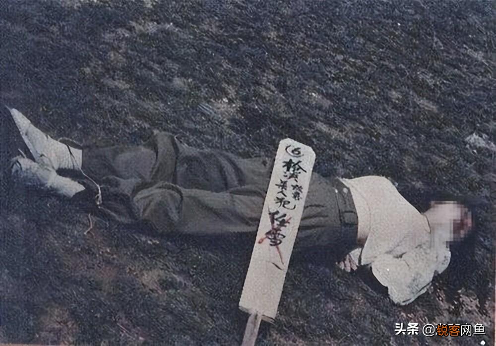 有姣好皮囊却心如毒蝎 最美死刑犯被枪毙