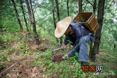 有姣好皮囊却心如毒蝎 最美死刑犯被枪毙