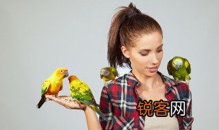 鹦怎么组词 鹦的含义