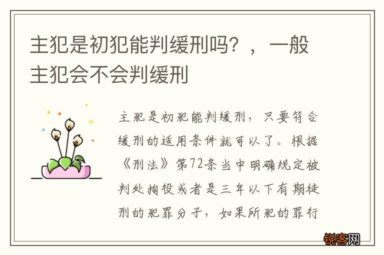 主犯是初犯能判缓刑吗？，一般主犯会不会判缓刑