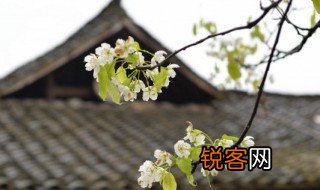 节气清明是什么意思 节气清明有什么含义