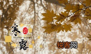 节气寒露是什么意思 节气寒露的解释
