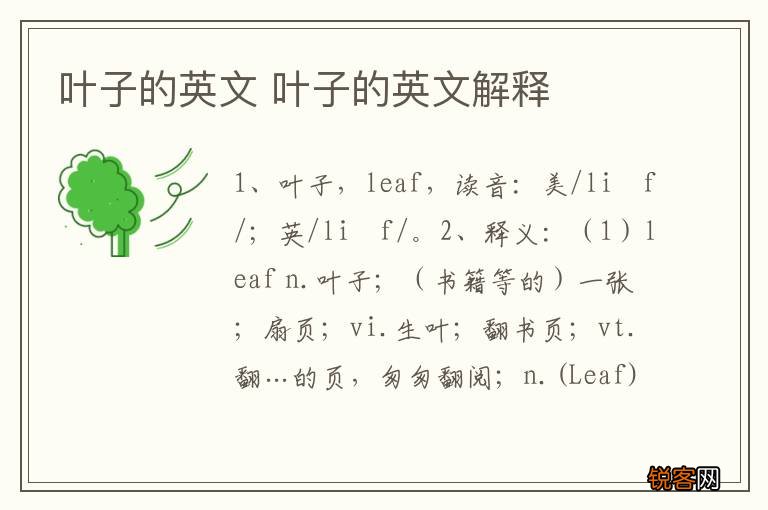 叶子的英文 叶子的英文解释