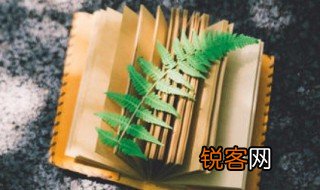 乌鸟私情是什么意思 乌鸟私情的解释