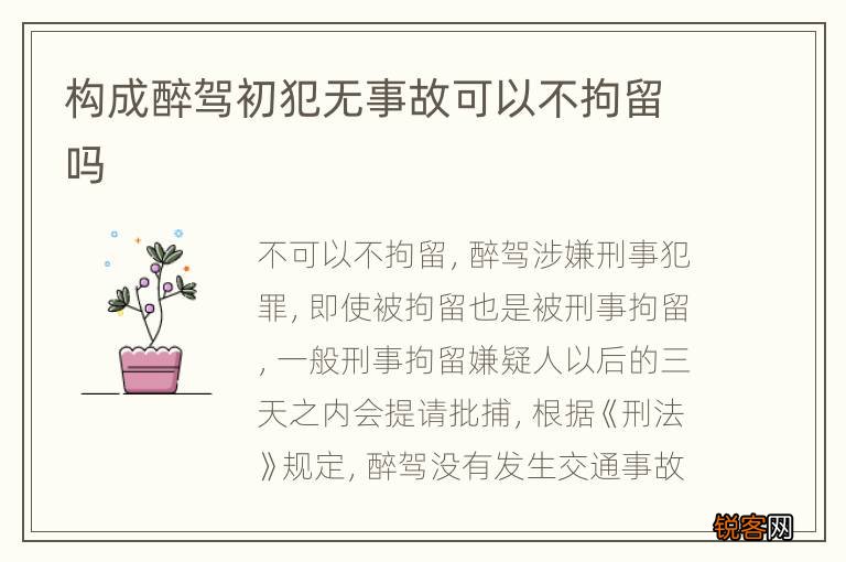 构成醉驾初犯无事故可以不拘留吗
