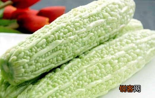 夏季老人多吃这6种瓜 降温养胃促进新陈代谢