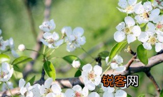 时人不识余心乐将谓偷闲学少年的意思 关于时人不识余心乐将谓偷闲学少年的意思