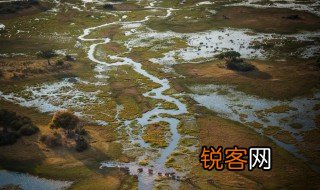 沼泽地什么意思，沼泽是什么意思?