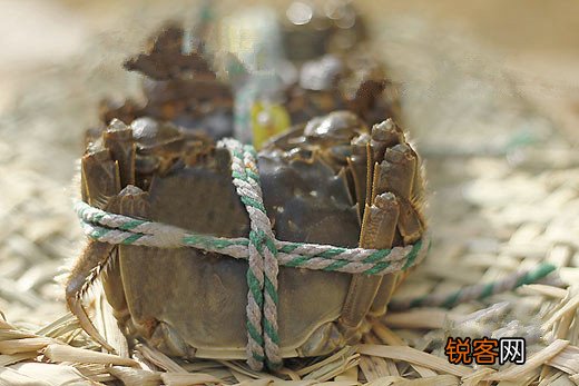 饮食注意改善阳虚体质 这个冬天不畏冷