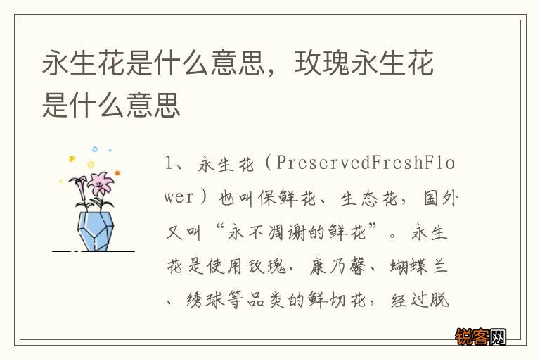永生花是什么意思，玫瑰永生花是什么意思