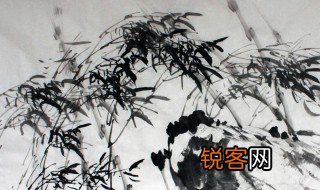 咬定青山不放松这首诗的意思 咬定青山不放松的意思